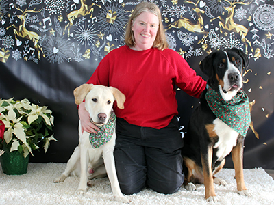 Greater Swiss Mountain Dogs