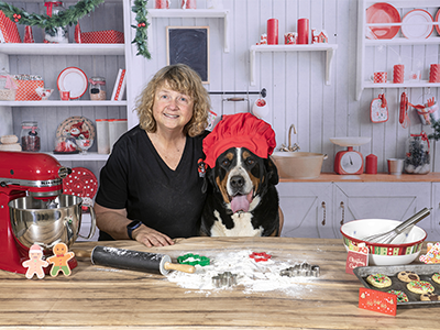 Greater Swiss Mountain Dogs