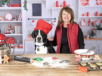 Greater Swiss Mountain Dogs